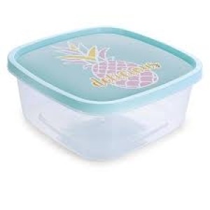 Pote quadrado 5576 1,6L c/1pç plasultil